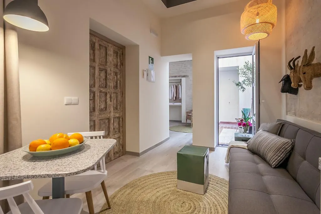 Tomas Ibarra Pool & Luxury Apartment Seville