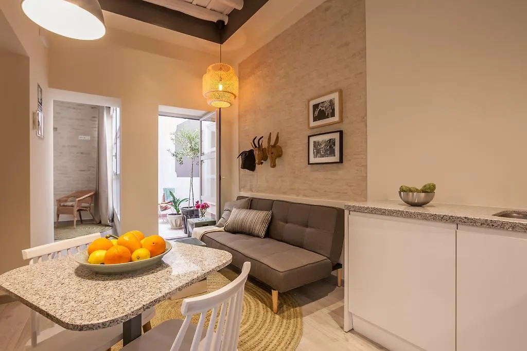Tomas Ibarra Pool & Luxury Apartment Seville Spain