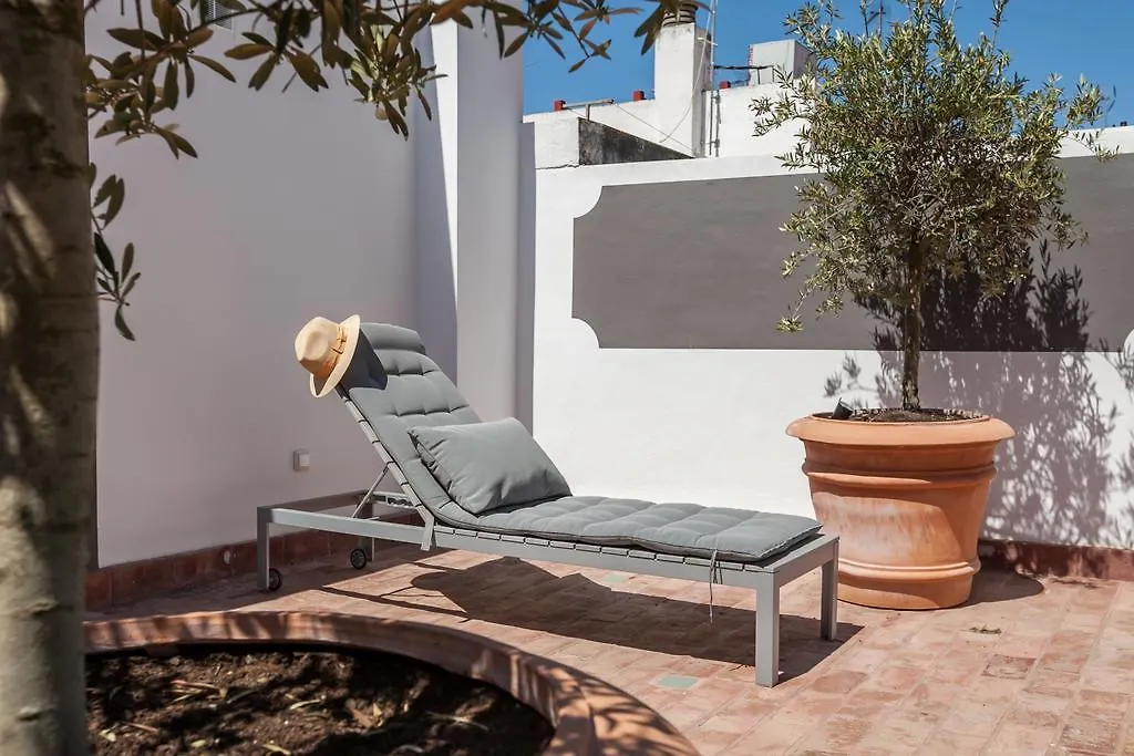 Tomas Ibarra Pool & Luxury Apartment Seville Spain